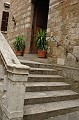 Siena 13